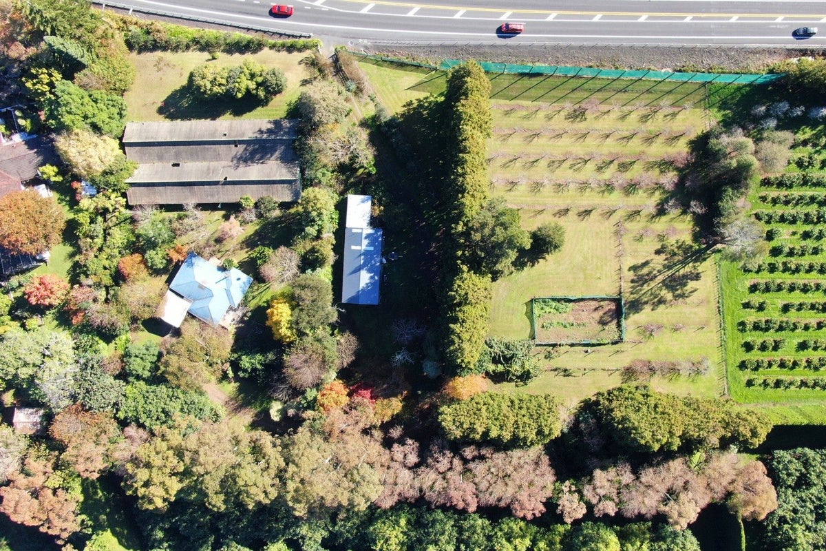 664 State Highway 2, Tahawai, Katikati - Carousel 31