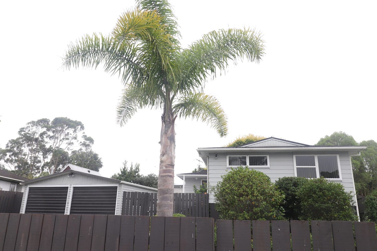 54 Oreil Avenue, West Harbour, Auckland - Carousel 2