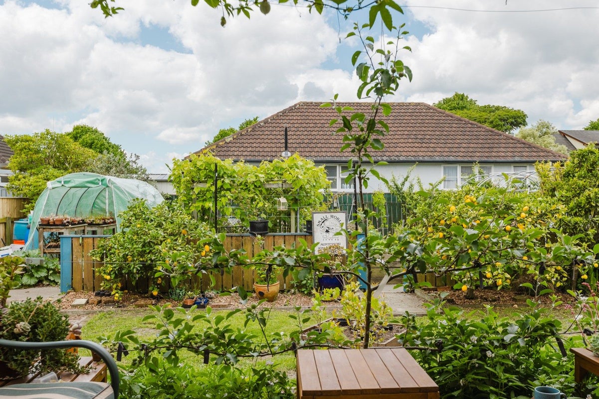 37 Hereford Street, West End, Palmerston North - Carousel 21