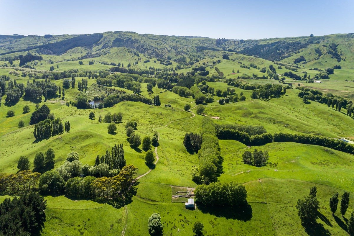 2412 Kahuranaki Road, Elsthorpe, Havelock North - Carousel 2