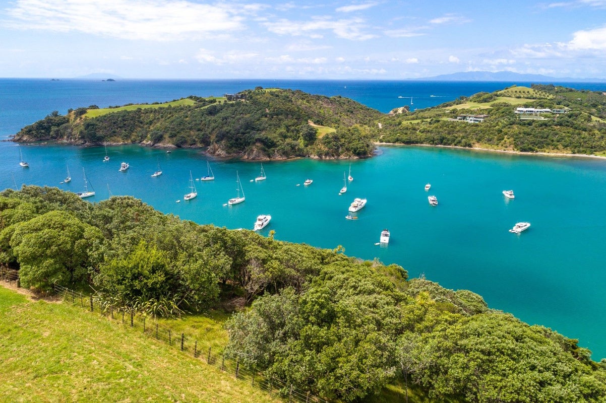 155 Delamore Drive, Oneroa, Waiheke Island - Carousel 1