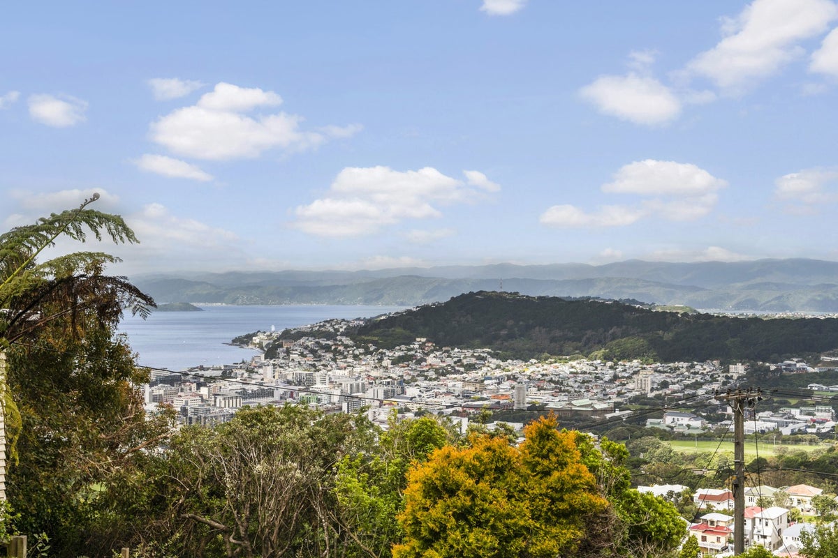42 Karepa Street, Brooklyn, Wellington - Carousel 1