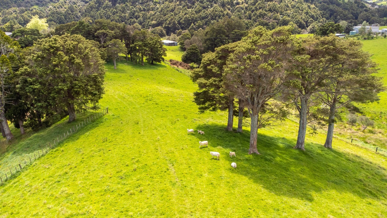 608B West Coast Road, Makarau, Warkworth - Carousel 2
