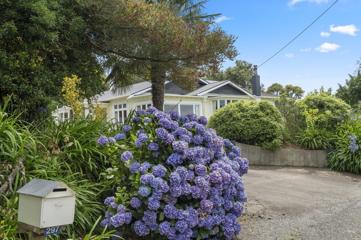 297 Paiaka Road, Koputaroa, Levin - Carousel 2