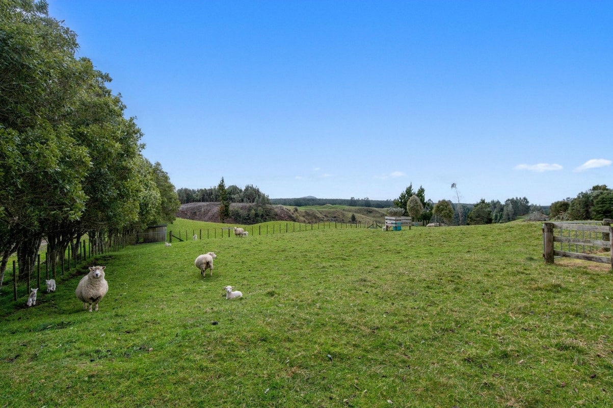 187 Dudley Road, Rotorua - Carousel 32