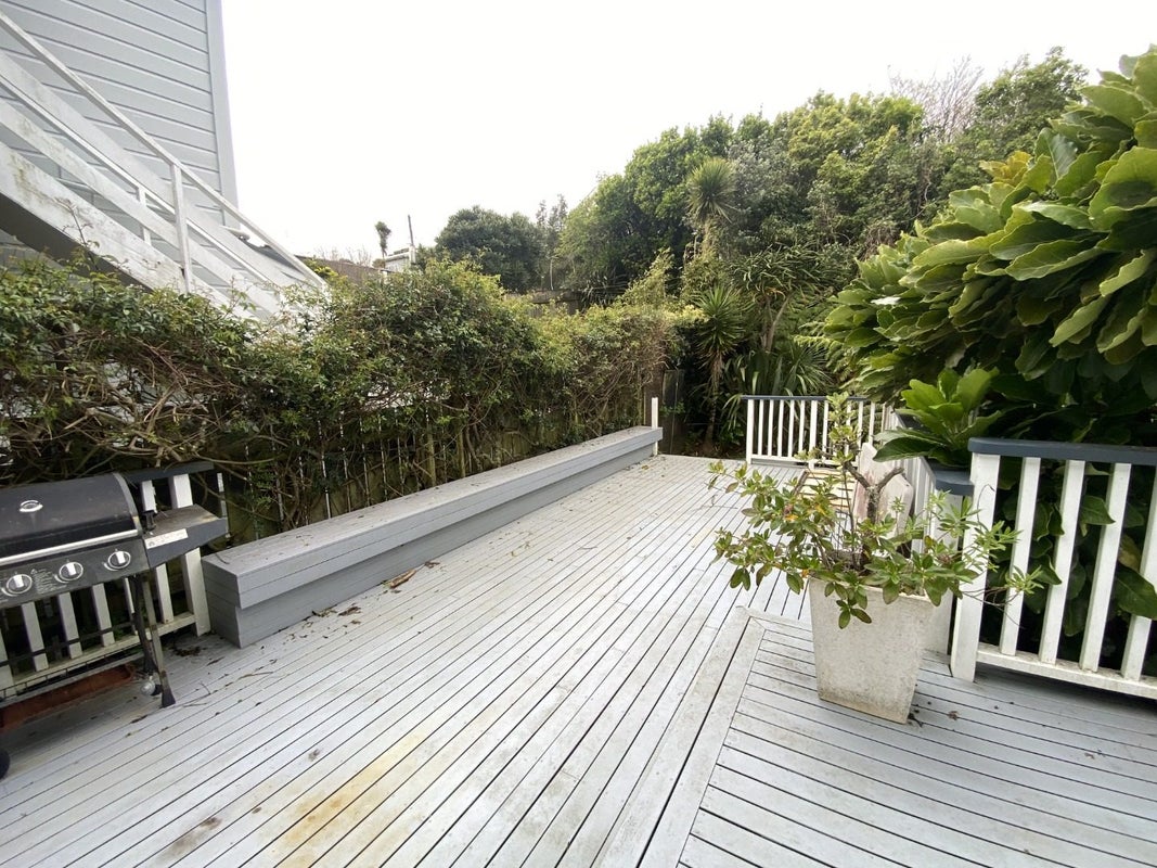 181 Ohiro Road, Brooklyn, Wellington - Carousel 18