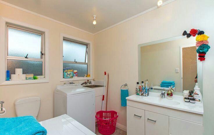 43B Brunswick Street, Hutt Central, Lower Hutt - Carousel 9