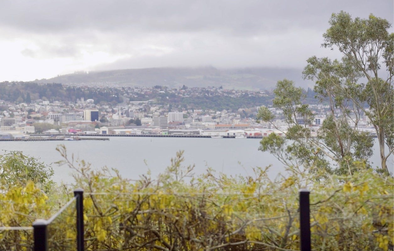 5 Torr Street, Vauxhall, Dunedin, Otago - Carousel 45