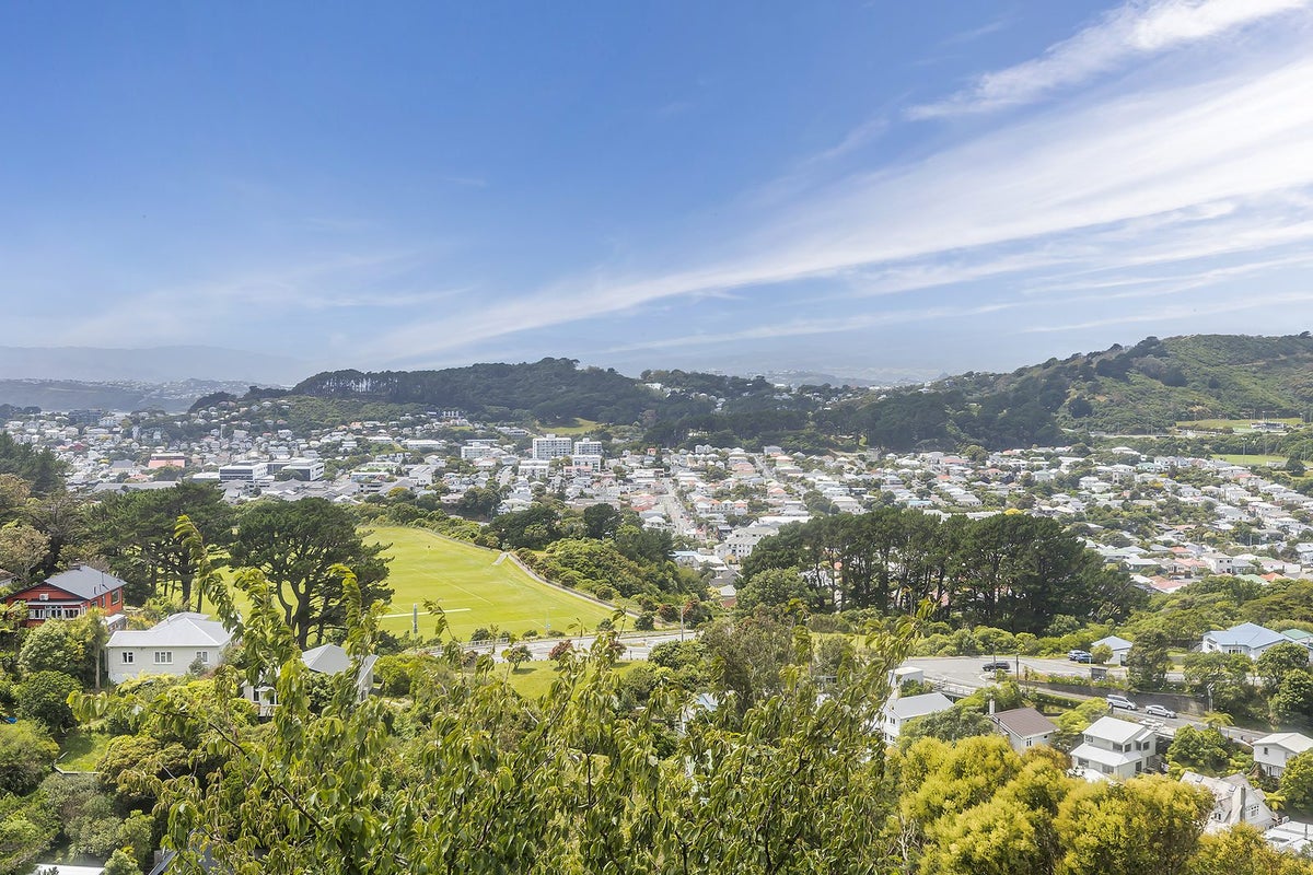 82 Farnham Street, Mornington, Wellington - Carousel 21