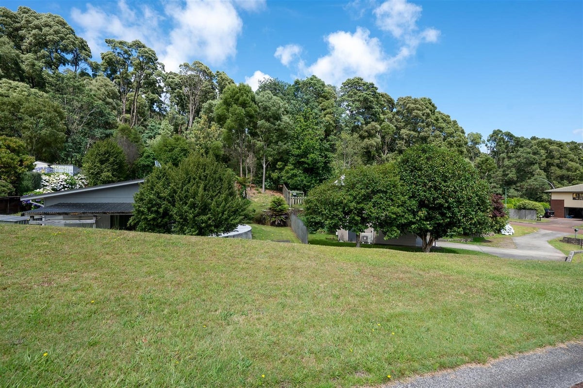 1 Forest Place, Lynmore, Rotorua - Carousel 16