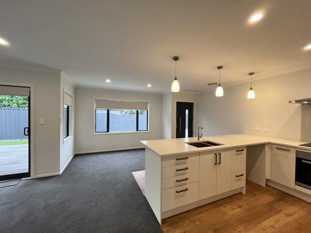 33A Park Road, Greenmeadows, Napier - Carousel 17