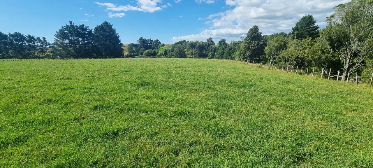 216 Potts Road, Koputaroa, Levin - Carousel 2