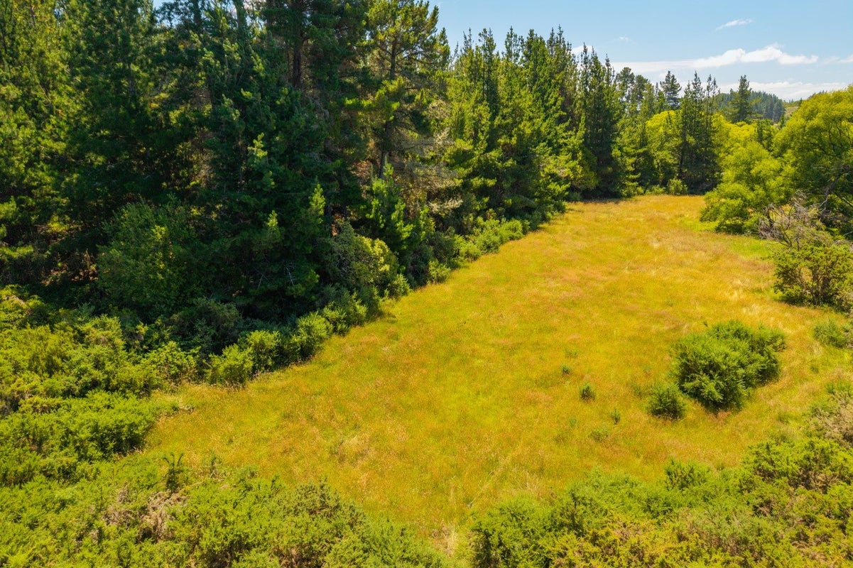 51 Mahana School Road, Mahana, Upper Moutere - Carousel 1