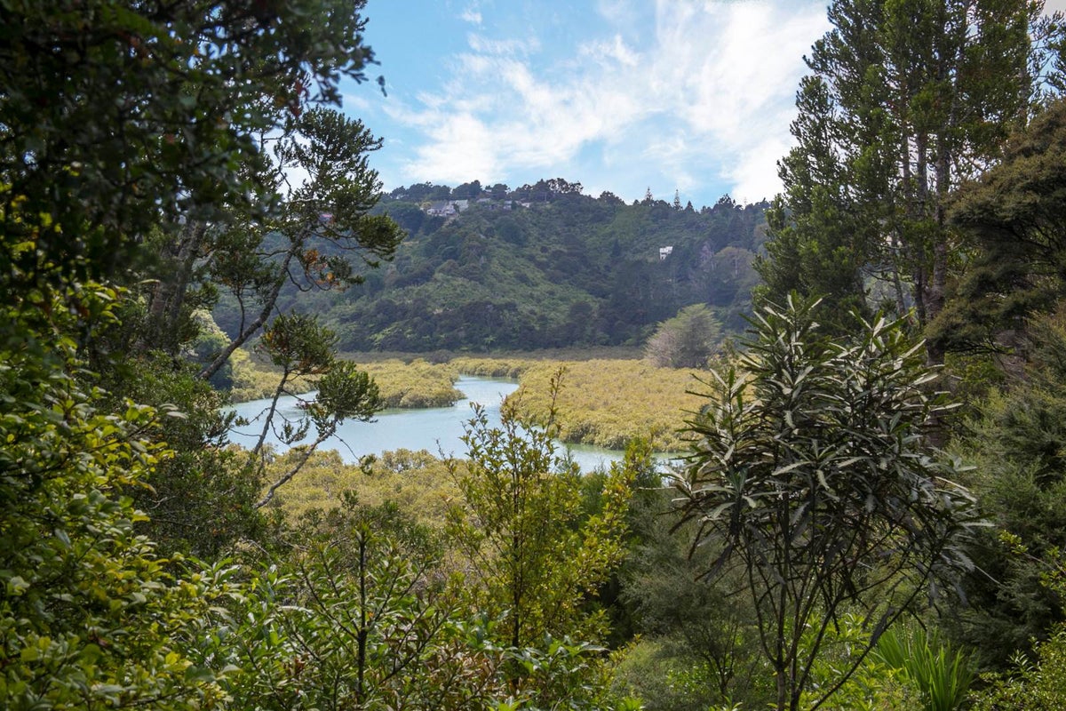 8 Janet Place, Laingholm, Auckland - Carousel 2