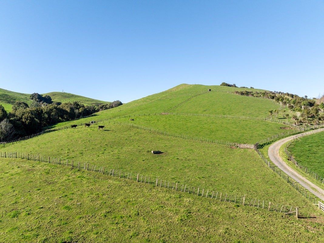 90 Tirohanga Road, Maungatautari, Cambridge - Carousel 17