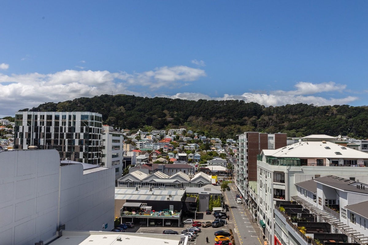604/10A Alpha Street, Te Aro, Wellington - Carousel 18