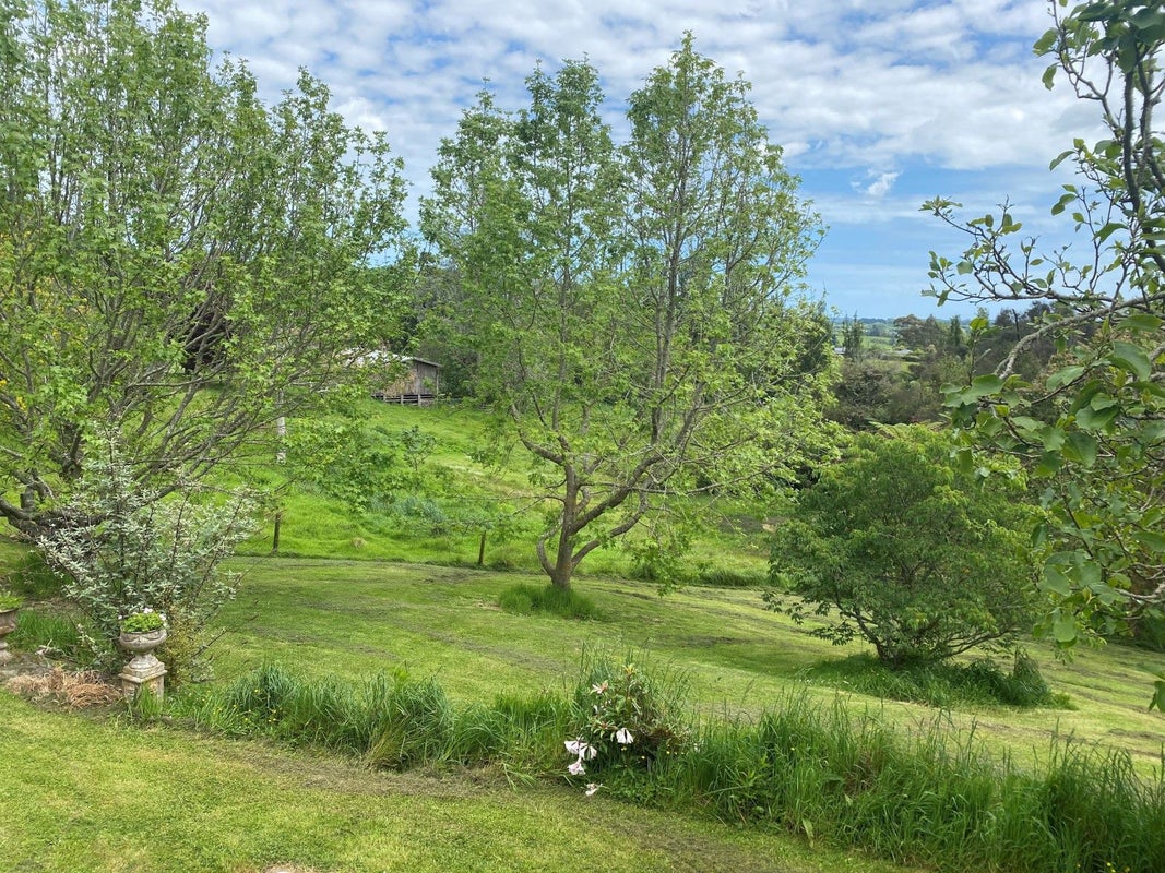 35 Emerald Hills Road, Koputaroa, Shannon - Carousel 2