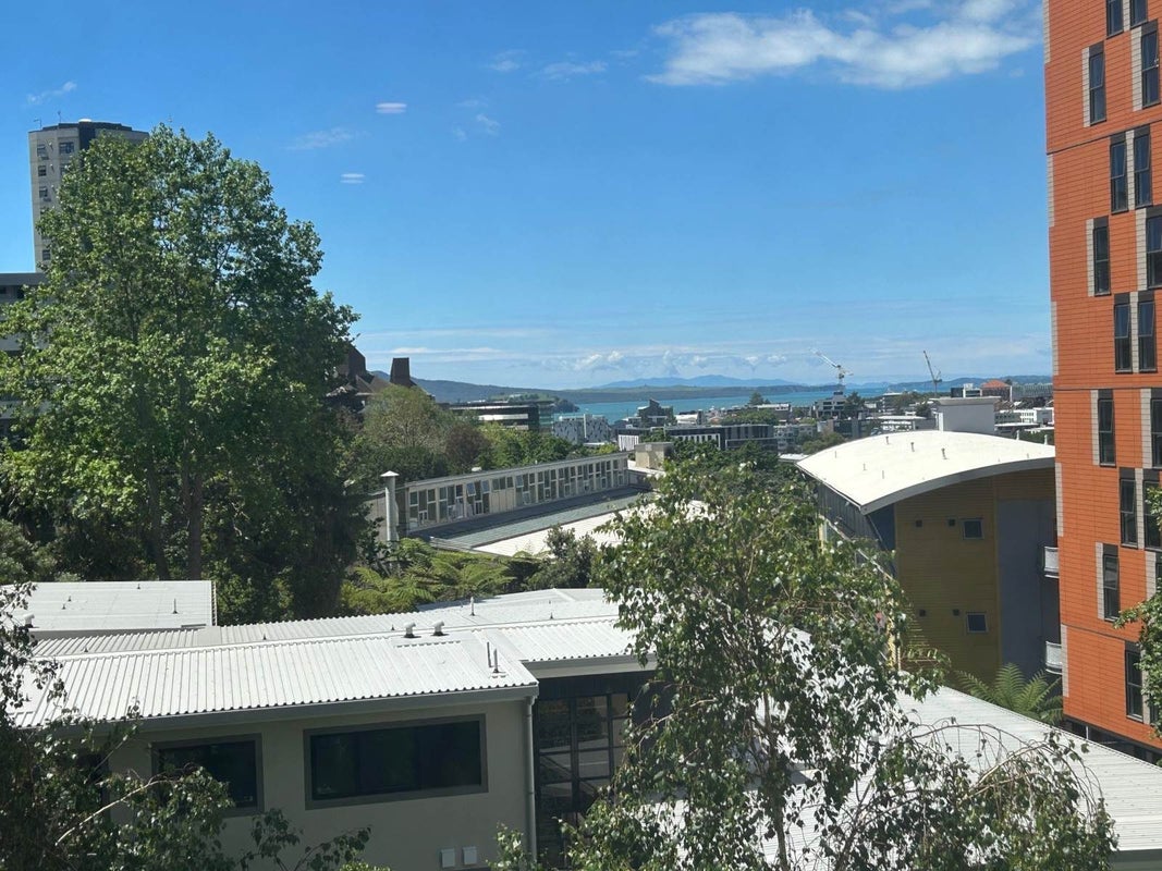 4B/2 Whitaker Place, Grafton, Auckland - Carousel 7