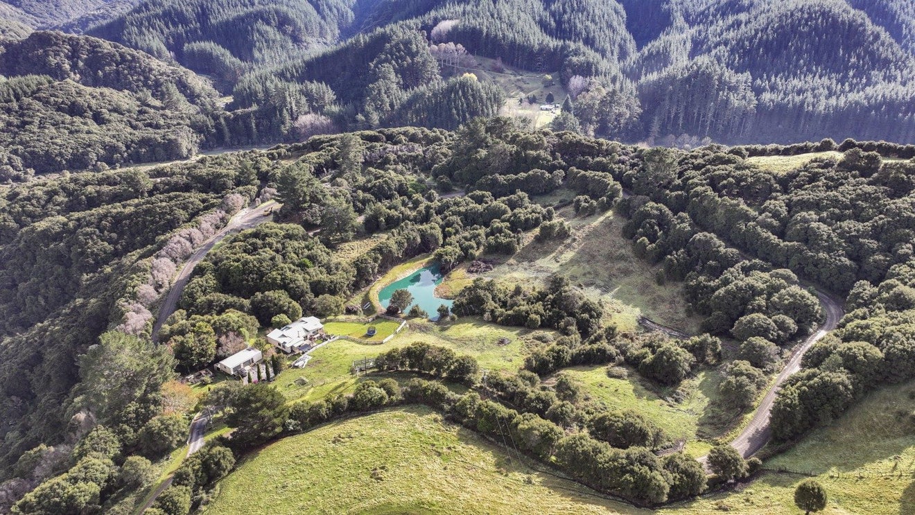 1079 Ellis Wallace Road, Eskdale, Napier - Carousel 26