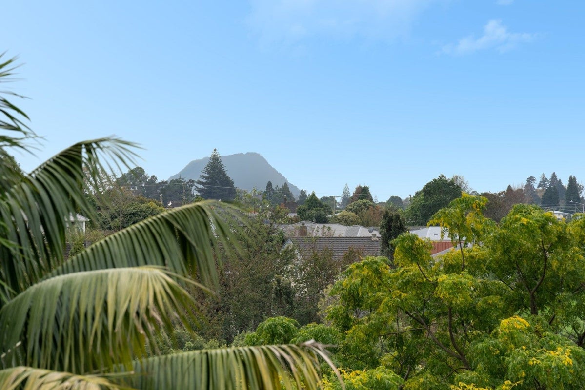 47 Harrier Street, Parkvale, Tauranga - Carousel 16