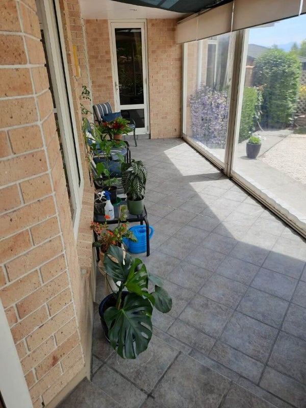 1 Gingko Place, Witherlea, Blenheim - Carousel 32