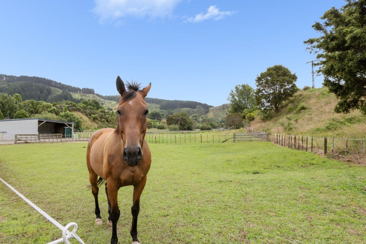 221 Waitao Road, Waitao, Tauranga - Carousel 1