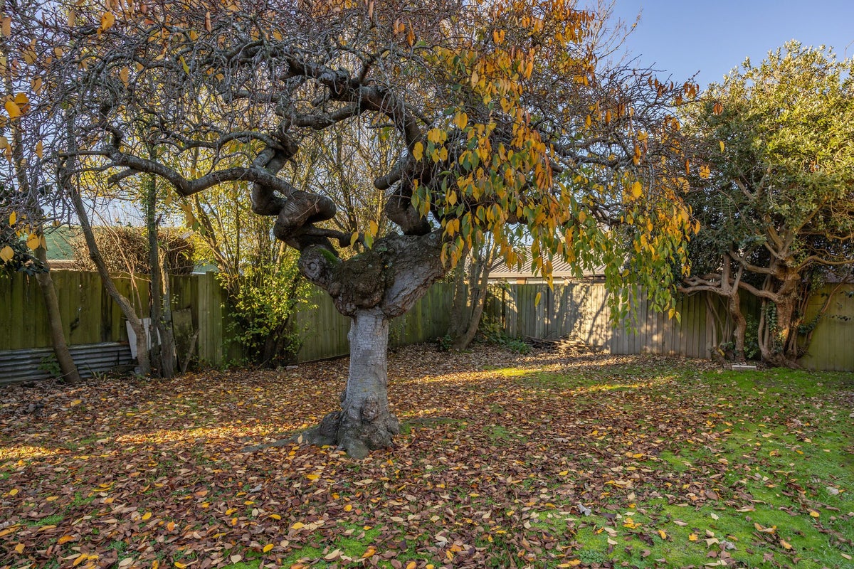 14 Withells Road, Avonhead, Christchurch - Carousel 26