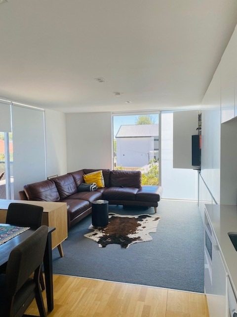 1/50 Perth Street, Richmond, Christchurch - Carousel 2
