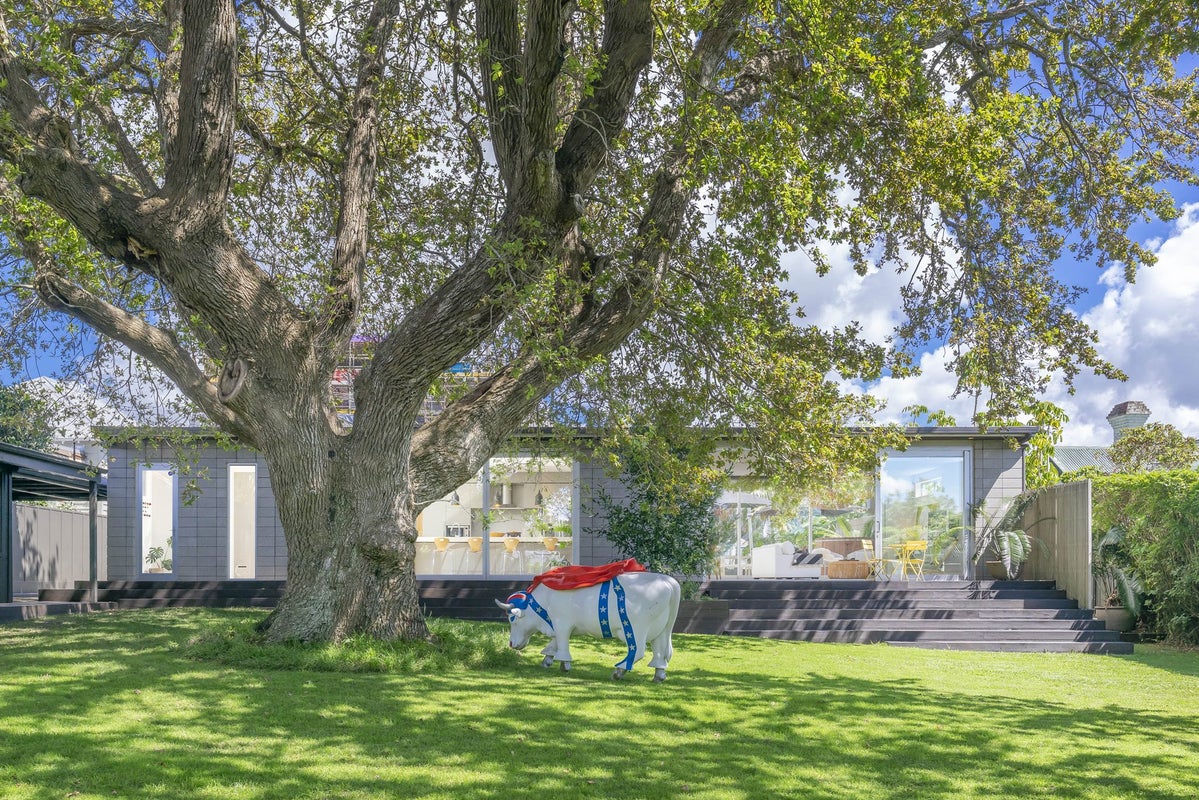 3 Finch Street, Morningside, Auckland - Carousel 2