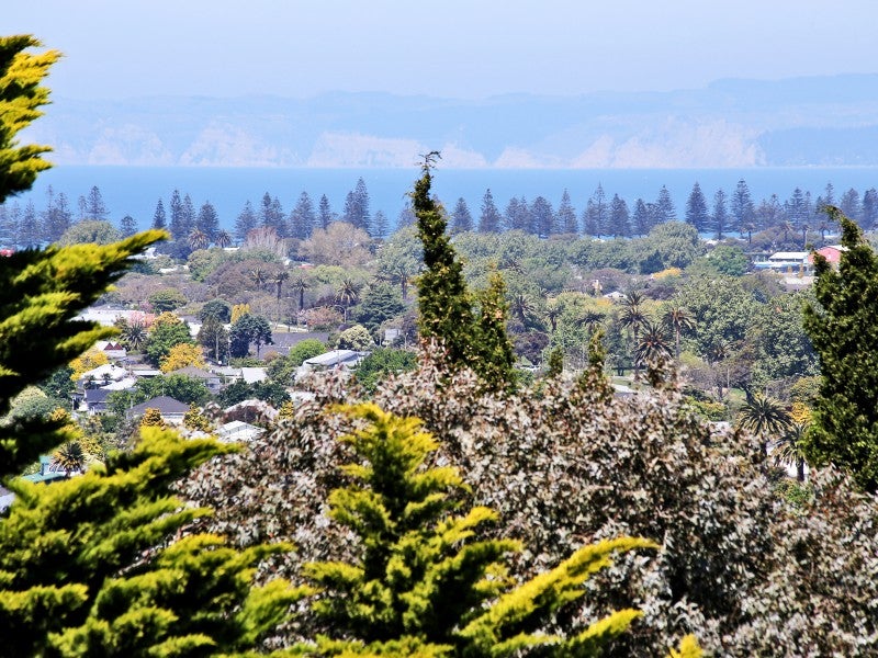 2B Kelsall Street, Hospital Hill, Napier - Carousel 2