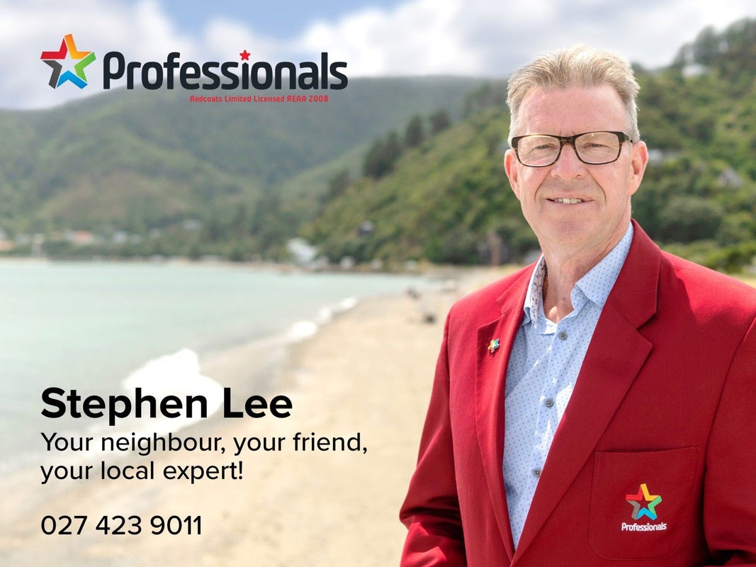 112 William Street, Petone, Lower Hutt - Carousel 29