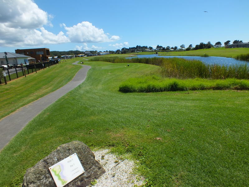 161 Rangiora Crescent, Matarangi, Whitianga - Carousel 6