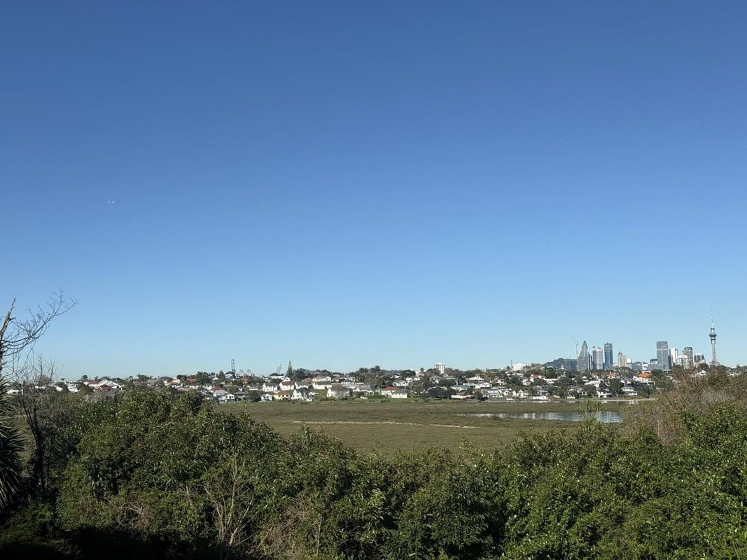 43A Marsden Street, Hauraki, Auckland - Carousel 11