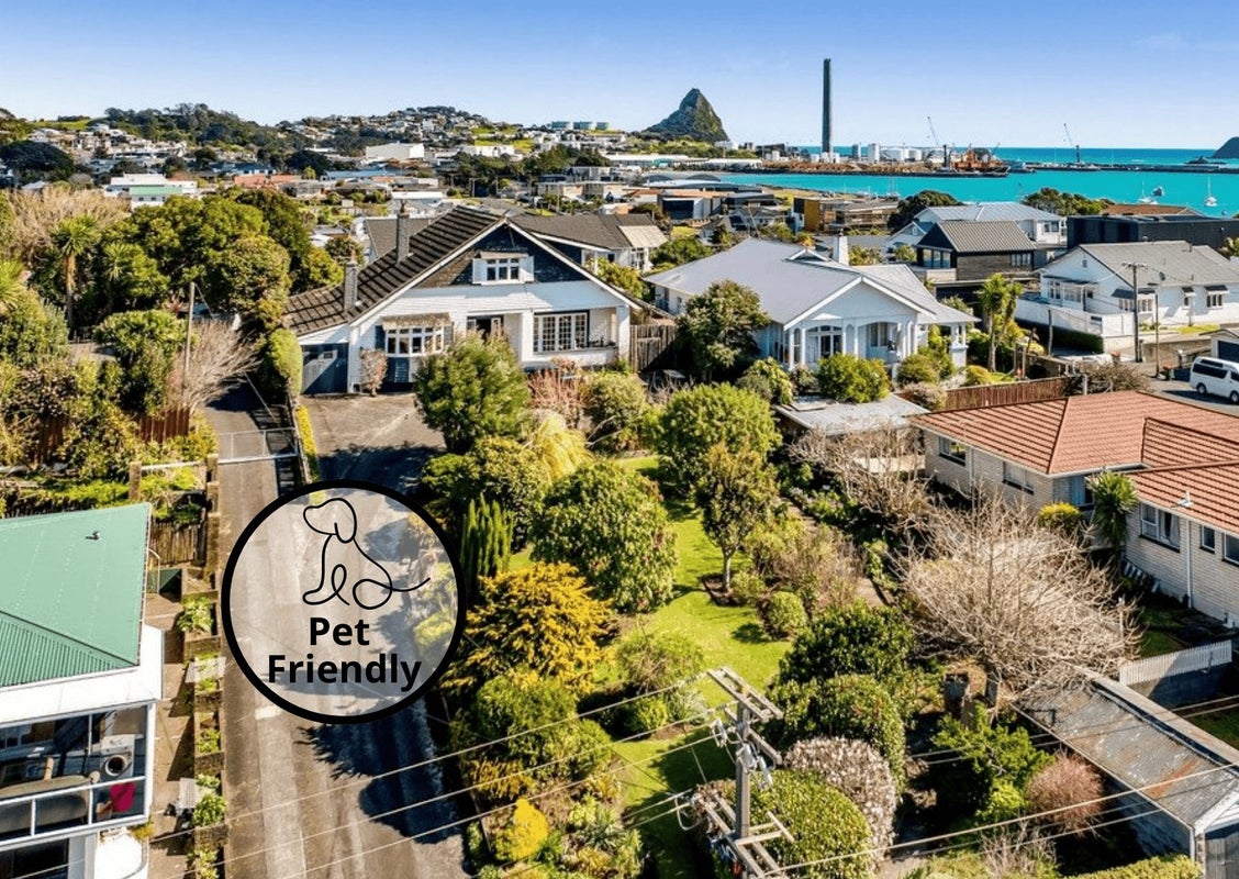4 Kitchener Terrace, Moturoa, New Plymouth - Carousel 1