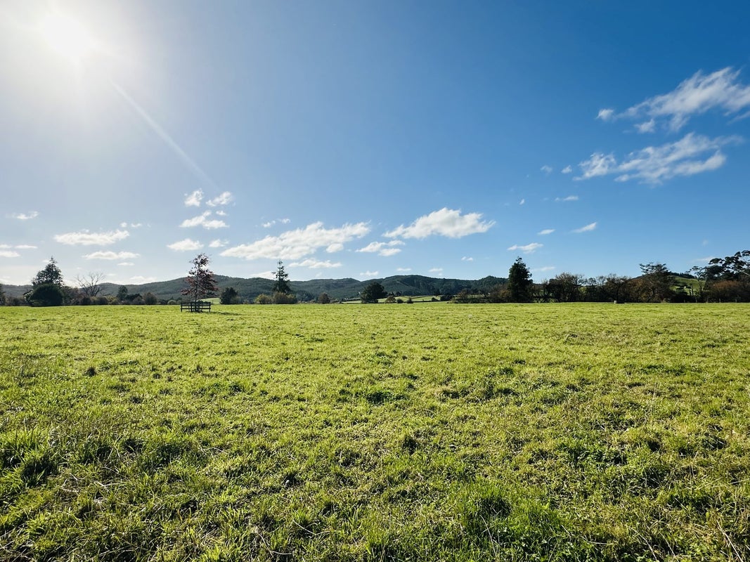 206 Okaeria Road, Waerenga, Te Kauwhata - Carousel 8