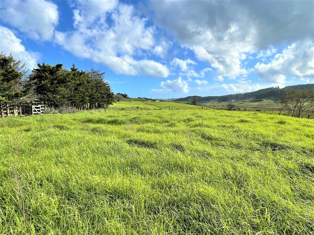 0 Babylon Coast Road, Parore, Dargaville - Carousel 12