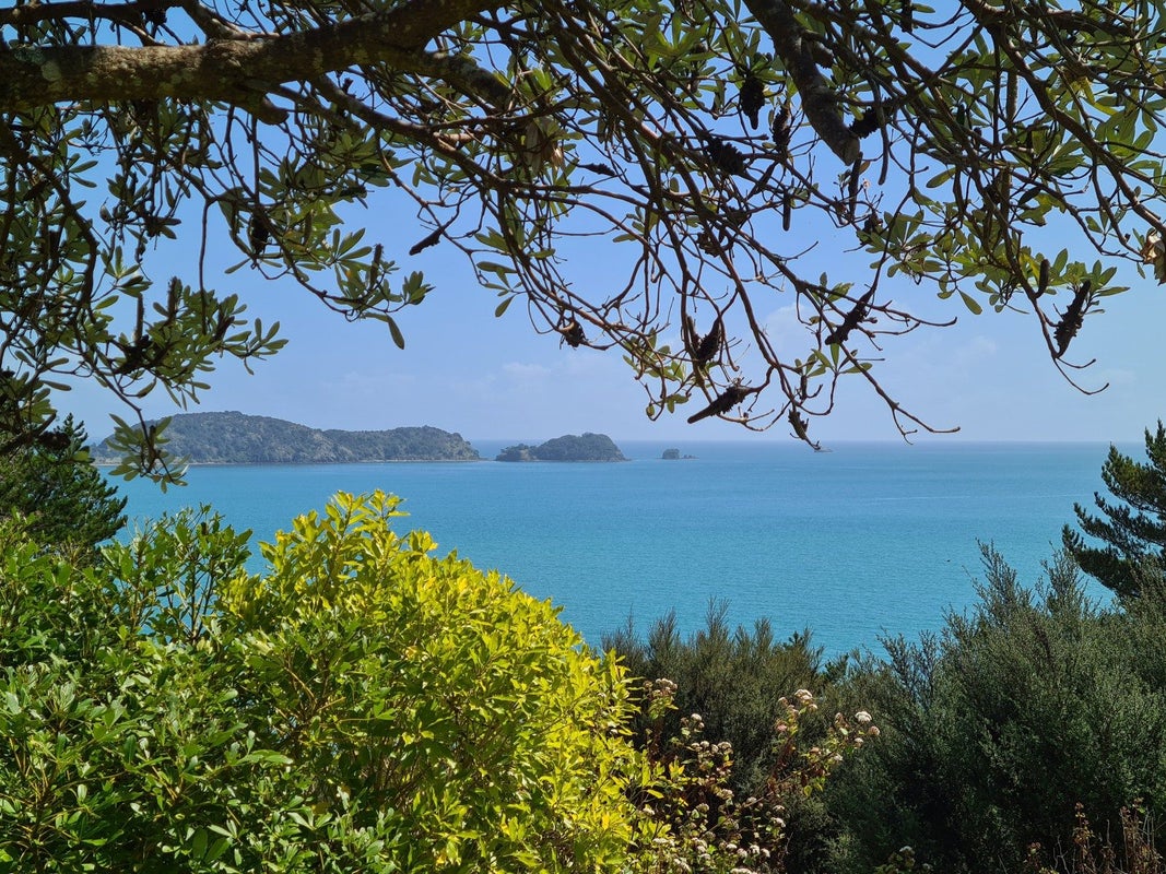 1114 Colville Road, Amodeo Bay, Coromandel - Carousel 2
