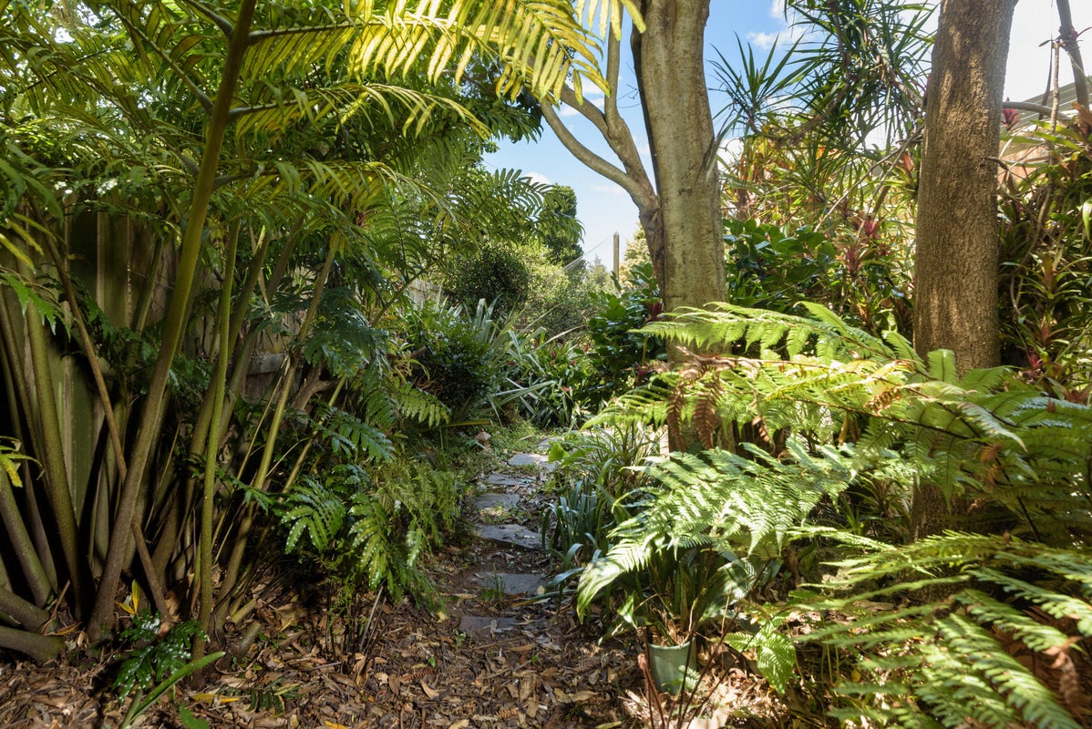 28A Beatty Avenue, Te Puke, Te Puke - Carousel 2
