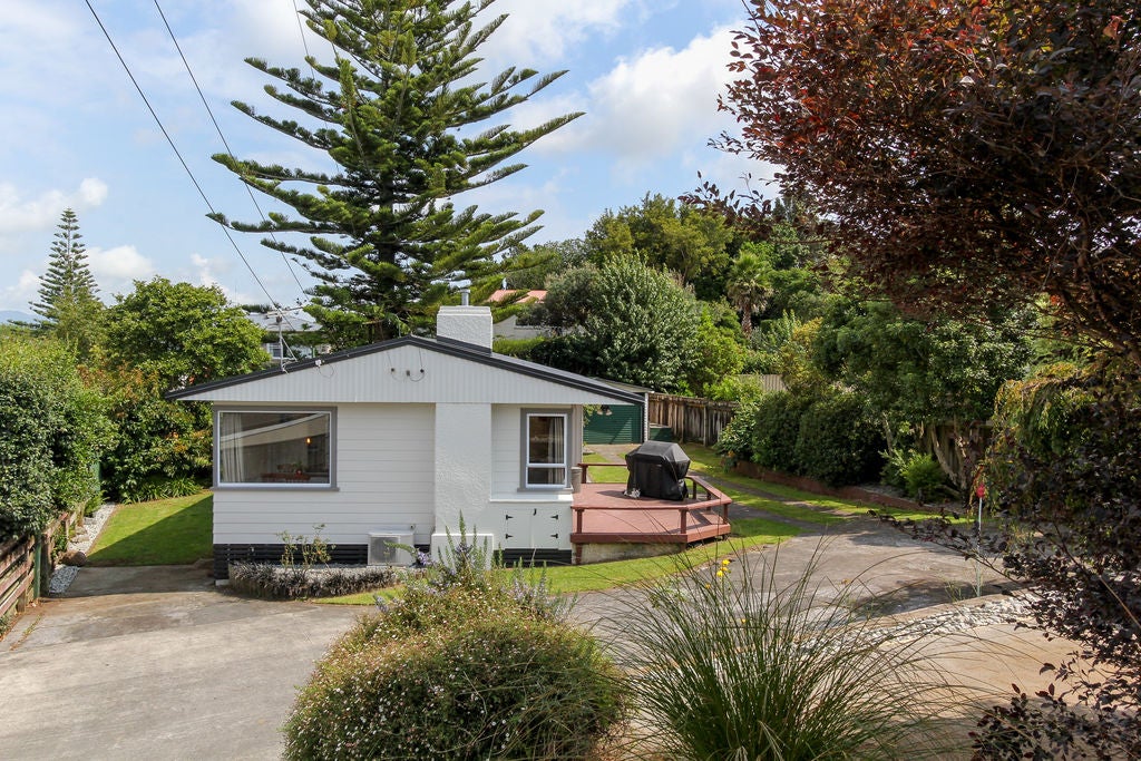 21 Durham Avenue, Welbourn, New Plymouth - Carousel 21