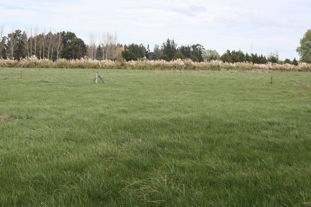 217 Toppings Road, Sefton, Rangiora - Carousel 2