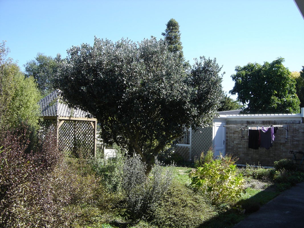 6 Sutton Crescent, Hillcrest, Hamilton - Carousel 14