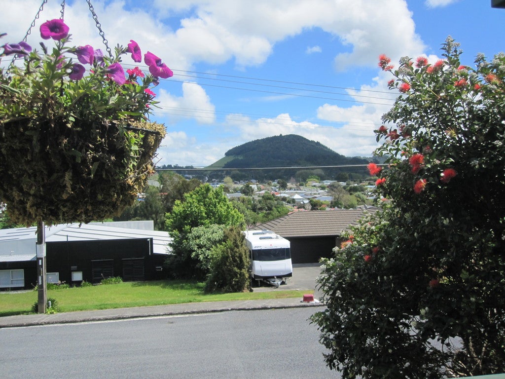2A Colenso Street, Kamo, Whangarei - Carousel 2