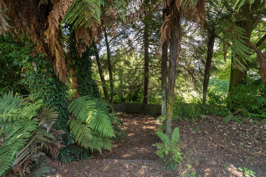8 Miranda Place, Springfield, Rotorua - Carousel 25