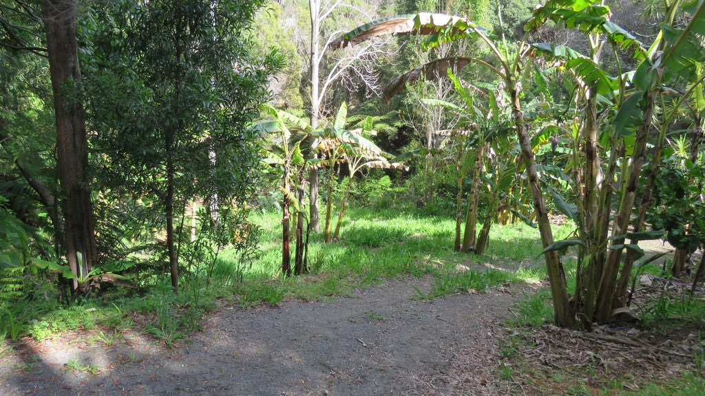 0 Whatuwhiwhi Road, Karikari Peninsula - Carousel 23