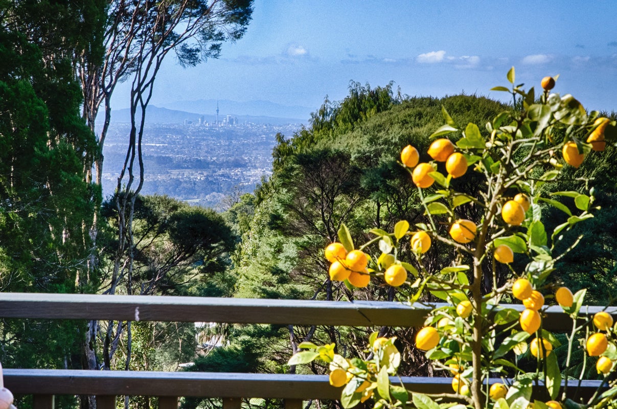 424A Scenic Drive, Waiatarua, Auckland - Carousel 20