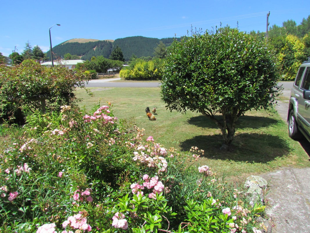 118 Western Road, Ngongotaha, Rotorua - Carousel 2