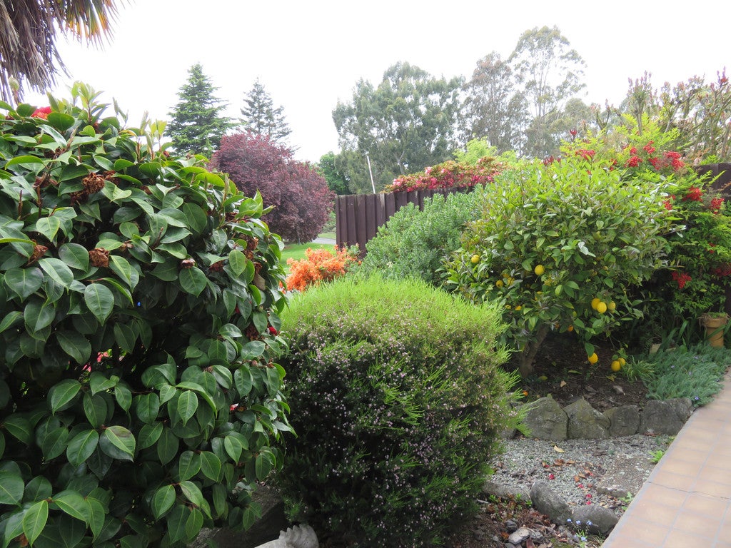 115 Domain Avenue, Kensington, Timaru - Carousel 15