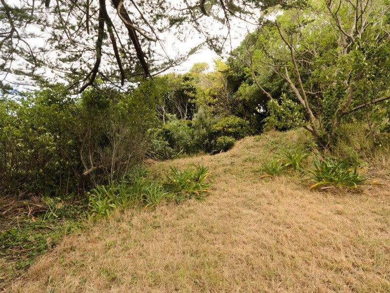 6 Caesars Place, Churton Park, Wellington - Carousel 20