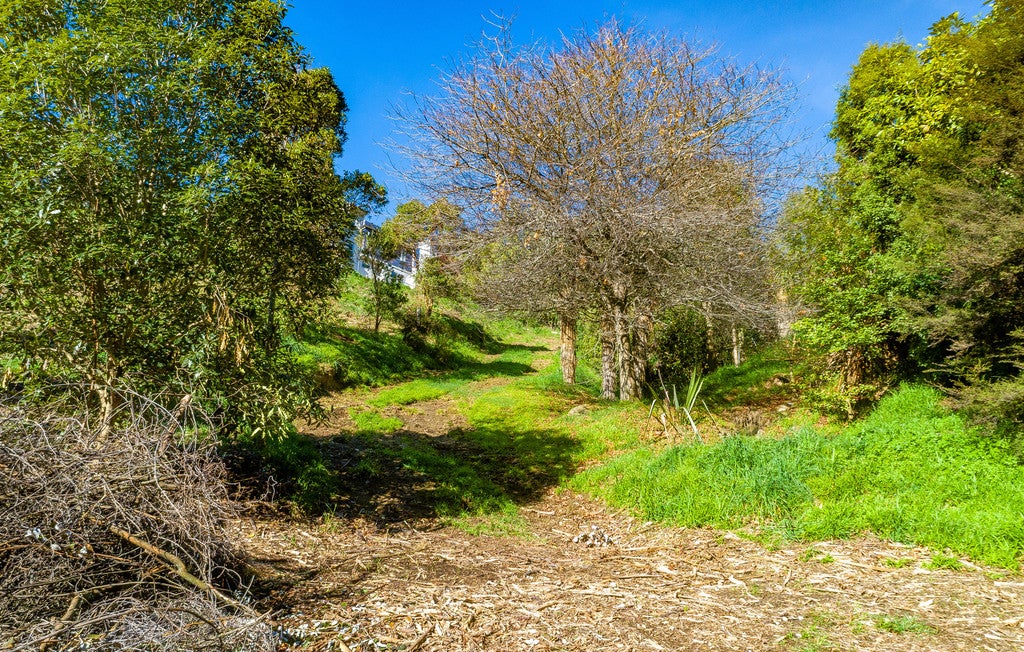 75 Augusta Street, Redcliffs, Christchurch - Carousel 2