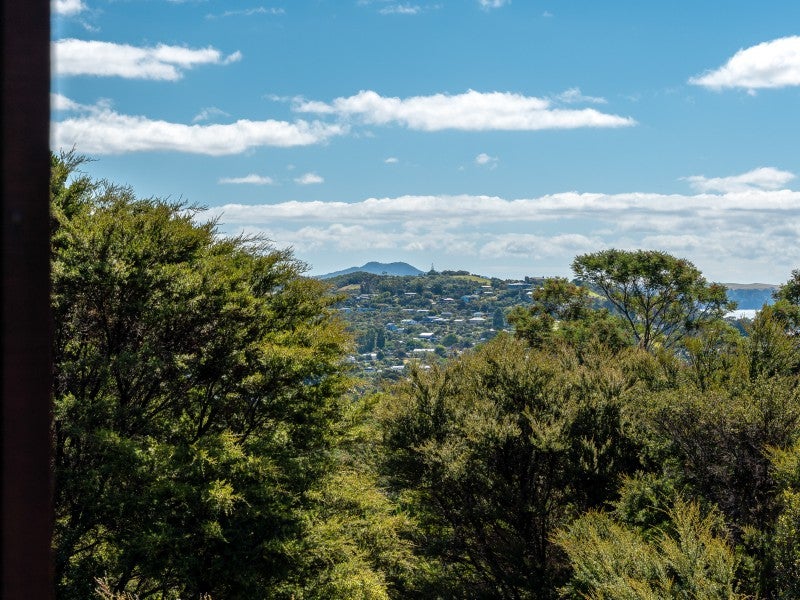 42 Hekerua Road, Oneroa, Waiheke Island - Carousel 16